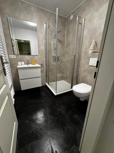 a bathroom with a shower and a sink and a toilet at Ferienwohnung Deichblick in Bremerhaven