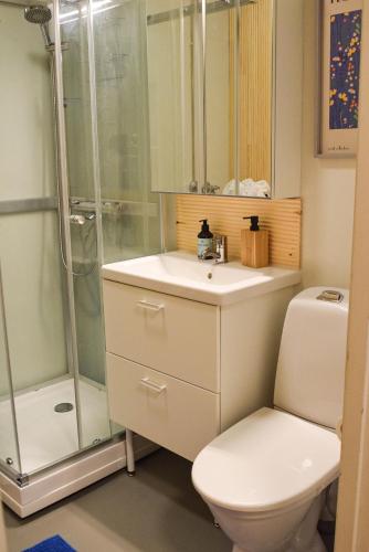 a bathroom with a shower and a toilet and a sink at Tilava ja elegantti kolmio in Kokkola