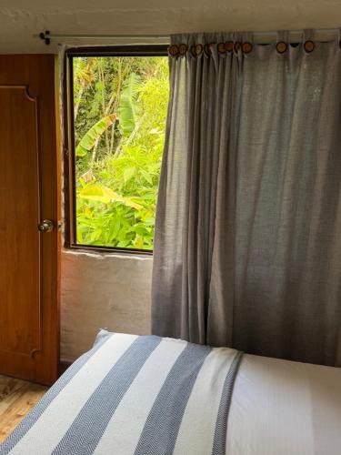 a bedroom with a bed and a window with a view at hospedaje ecopolis birds in El Queremal