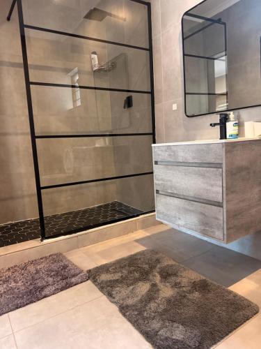 a bathroom with a shower with a sink and a mirror at OneOnArum in Johannesburg