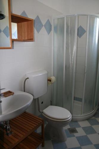 a bathroom with a shower and a toilet and a sink at Apartments Roža in Medulin