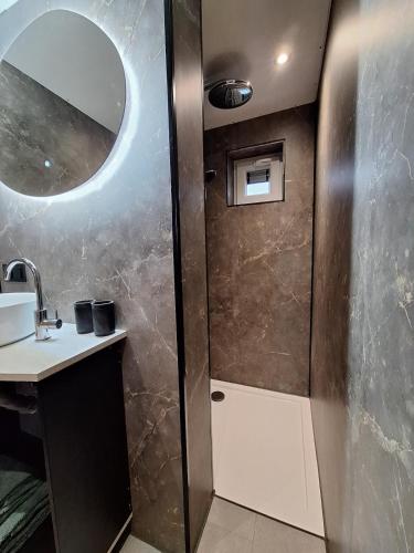 a bathroom with a shower with a sink and a mirror at Zee aan Geluk in Sint Maartensvlotbrug