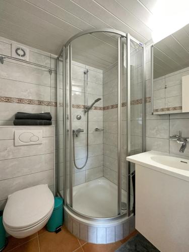 a bathroom with a shower and a toilet and a sink at Chalet apartment with Mountain View in Bettmeralp