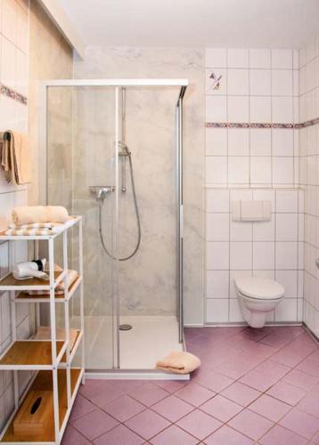 a bathroom with a shower and a toilet at Fischerhof Appartements in Feld am See