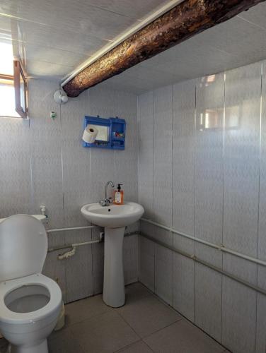 a bathroom with a toilet and a sink at Guesthouse Javakhe in Omalo