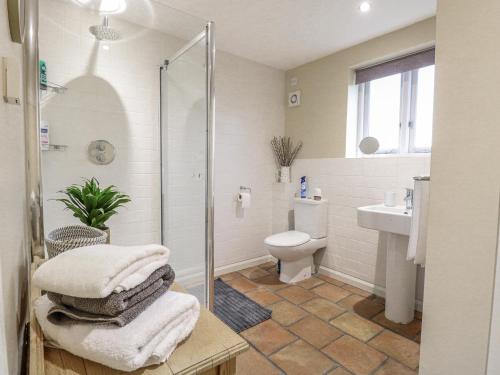 a bathroom with a shower and a toilet and a sink at Ivy Barn in Norwich