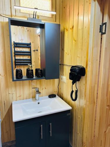 a bathroom with a sink and a mirror at Kobuleti Seaside Cottage in Kobuleti