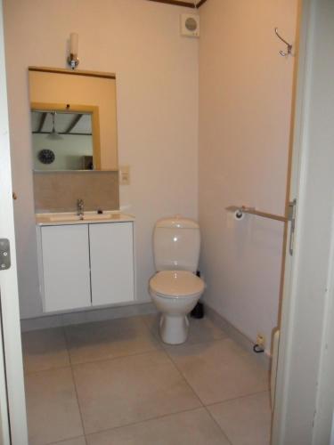 a bathroom with a toilet and a sink at Schophemmerhoeve in Voeren