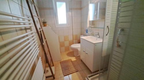 a small bathroom with a toilet and a sink at Atena Mare Sea View in Perama