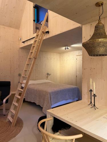 a loft bed in a room with a bed and a desk at de KruidenPoort in Woudrichem