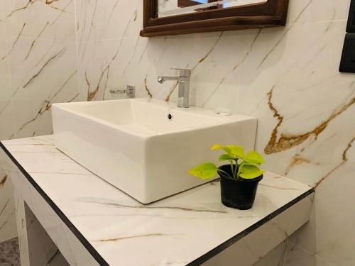 a bathroom with a white sink and a potted plant at water lily heaven in Tangalle