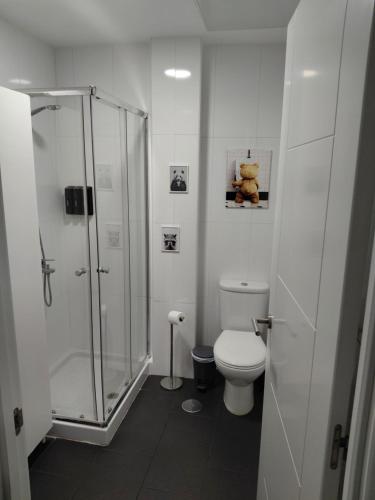 Apolo Studio