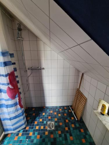 a bathroom with a shower with a chair in it at Der Apfel in Holtgast