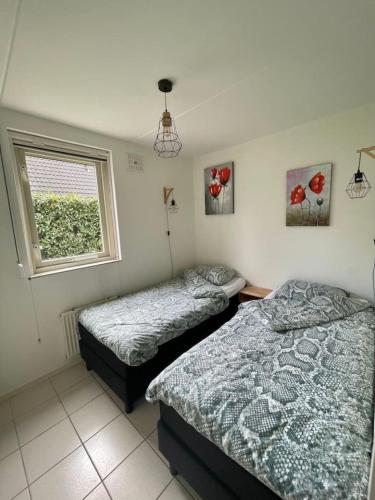 two twin beds in a room with a window at 6 - Persons Forest 223 Bungalow in Ewijk