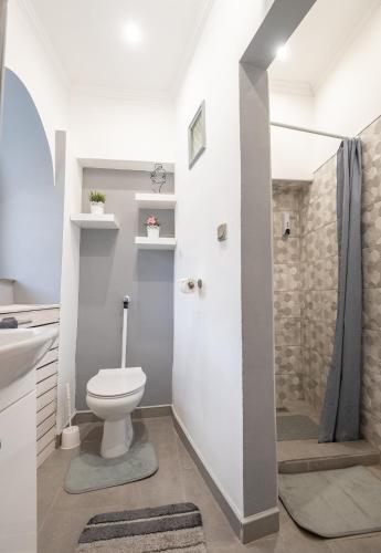 a bathroom with a toilet and a shower at Royal Gold Apartman in Kiskunhalas