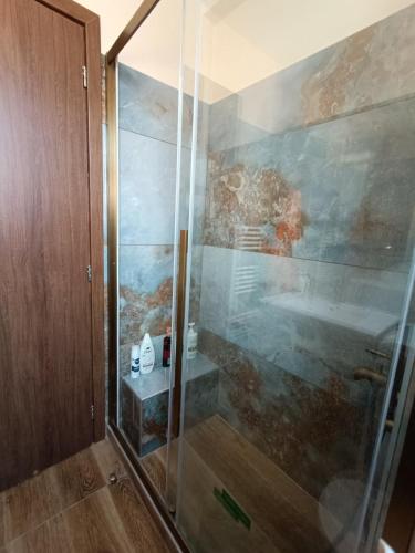 a shower with a glass door in a bathroom at Νύμφη Ηχώ, Θέα στα βουνά κάτω από το Ρολόι in Dimitsana