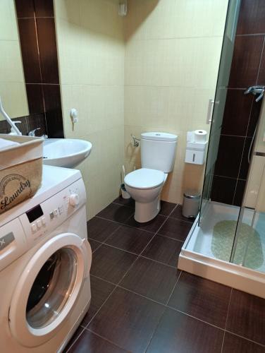 a bathroom with a washing machine and a toilet at Apartamento Haro Wine Experience in Haro