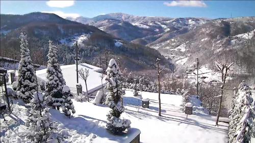 una montagna innevata con alberi e montagne sullo sfondo di villadelight a Ferizaj