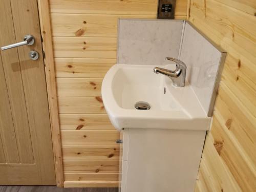 a bathroom with a white sink and a door at Thelmas Lodge in Llanelli