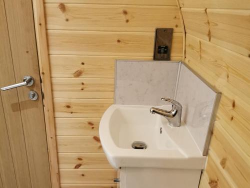 a bathroom with a sink and a toilet at Lodge 2 in Llanelli