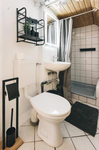 a bathroom with a toilet and a sink at Kleines Häuschen in der Oberlausitz in Löbau