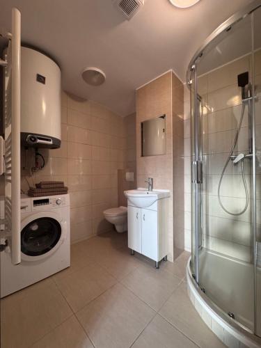 a bathroom with a washing machine and a sink at Apartment Krajinka in Cheb