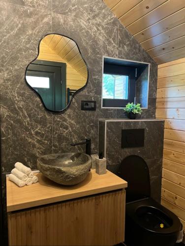 a bathroom with a sink and a mirror at Carpathic Chalet in Comandău