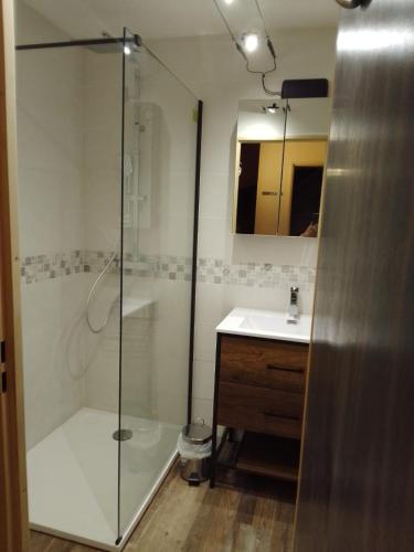 a bathroom with a shower and a sink at RESIDENCE du NEPTUNE in Saint-Cyprien-Plage