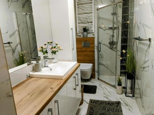 a bathroom with a sink and a shower at APaRTAMENT MOUTAIN SKY in Świeradów-Zdrój