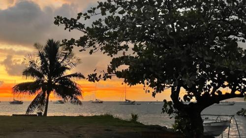 a palm tree and boats in the water at sunset at Lodge ORION - Coté Piscine in Uturoa