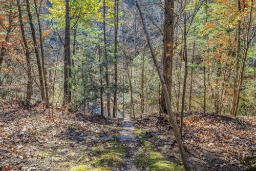 a path through the woods in the fall at Cabin at Sleepy Creek - Creek Access, Wifi, Pet Friendly, Fire Pit, Charcoal Grill, Screen Porch, Wood Stove, Deck, Family Friendly in Berkeley Springs