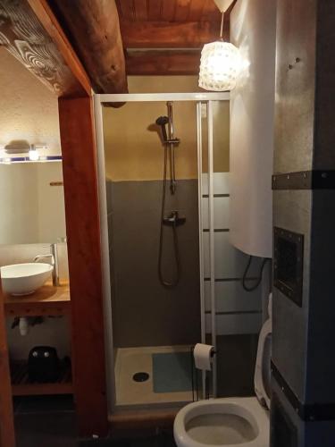 a bathroom with a shower with a toilet and a sink at La maison du meunier in Olette