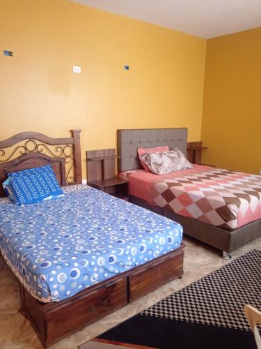 two beds in a room with yellow walls at La Casa Del Hombre in Puerto Chicama