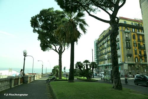 WELL COME - Santa Lucia
