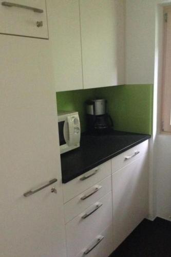 a kitchen with white cabinets and a green wall at Apartment Nicole 1 by Interhome in Blatten bei Naters