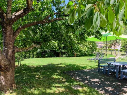 a picnic table under a tree in a park at Apartment Perle-Lollipop by Interhome in Bullay