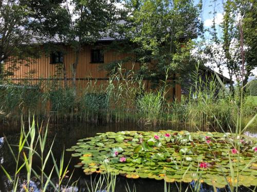 Apartment Charmante Ferienwohnung in Bad Aussee mit Grill und Garten und Bergblick by Interhome