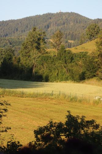 Un paisaje natural cerca del departamento