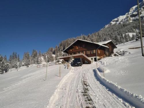 Holiday Home Willenschwand Adelboden by Interhome photo 2