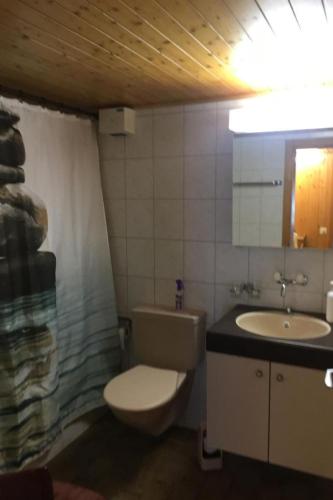 a bathroom with a toilet and a sink and a mirror at Apartment Frohmatt by Interhome in Adelboden