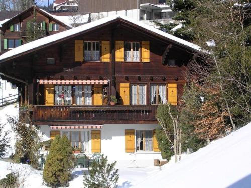 Apartment Chalet Birkli by Interhome