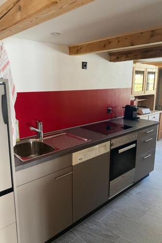 a kitchen with a sink and a counter top at Apartment Alpenruh by Interhome in Gadmen