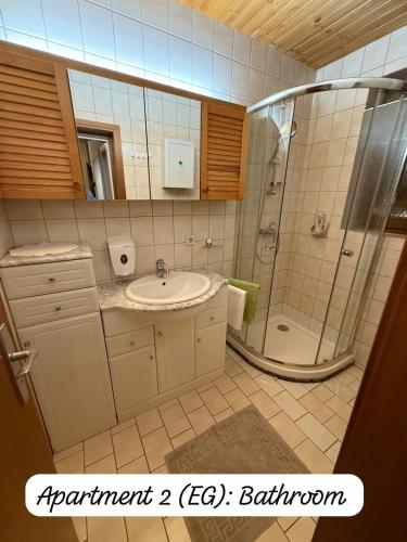 a bathroom with a sink and a shower at Angi's Apartment in Sankt Lorenzen ob Murau