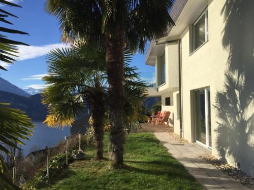 a house with a palm tree in the yard at Apartment Weggis by Interhome in Weggis