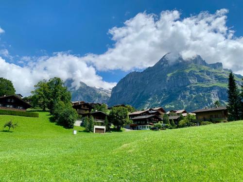 a green field with houses in front of a mountain at Brand New, 5min to Ski PARADISE ! in Grindelwald