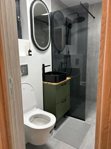 a bathroom with a toilet and a sink and a shower at Tiny Marae in Straja