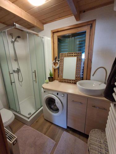 a bathroom with a washing machine and a sink at Domek za lasem in Laskowa