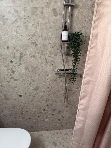 a bathroom with a shower with a plant in it at Hus med 3 sovrum i lugn miljö nära natur & Ullared in Älvsered