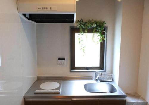 a kitchen with a sink and a window with a plant at 京都 大阪アクセス良好の和モダン民泊 静かで快適な宿泊施設です 京阪本線楠葉駅から徒歩圏内 急行特急停車駅で京都へ約30分 大阪へ約40分とアクセス良好です in Hirakata