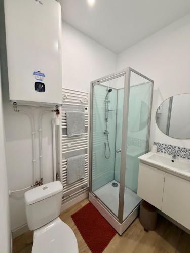 a bathroom with a shower and a toilet and a sink at La Maison du Souvenir in Beaucourt-sur-lʼAncre